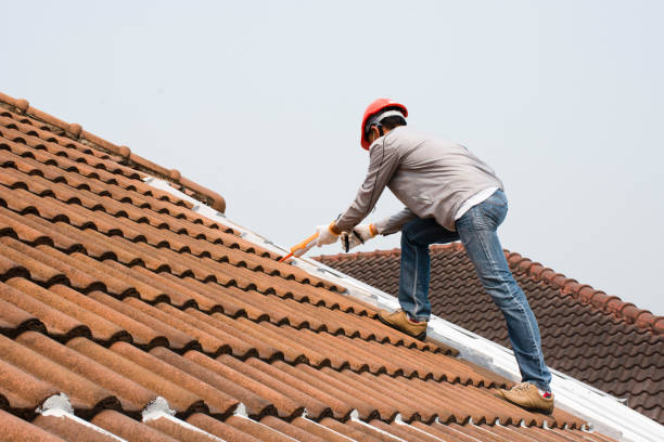 Best Roofing for New Construction  in Hopkins, MN