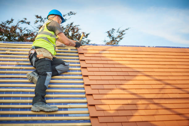 Best EPDM Roofing  in Hopkins, MN